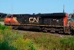 CN 2821